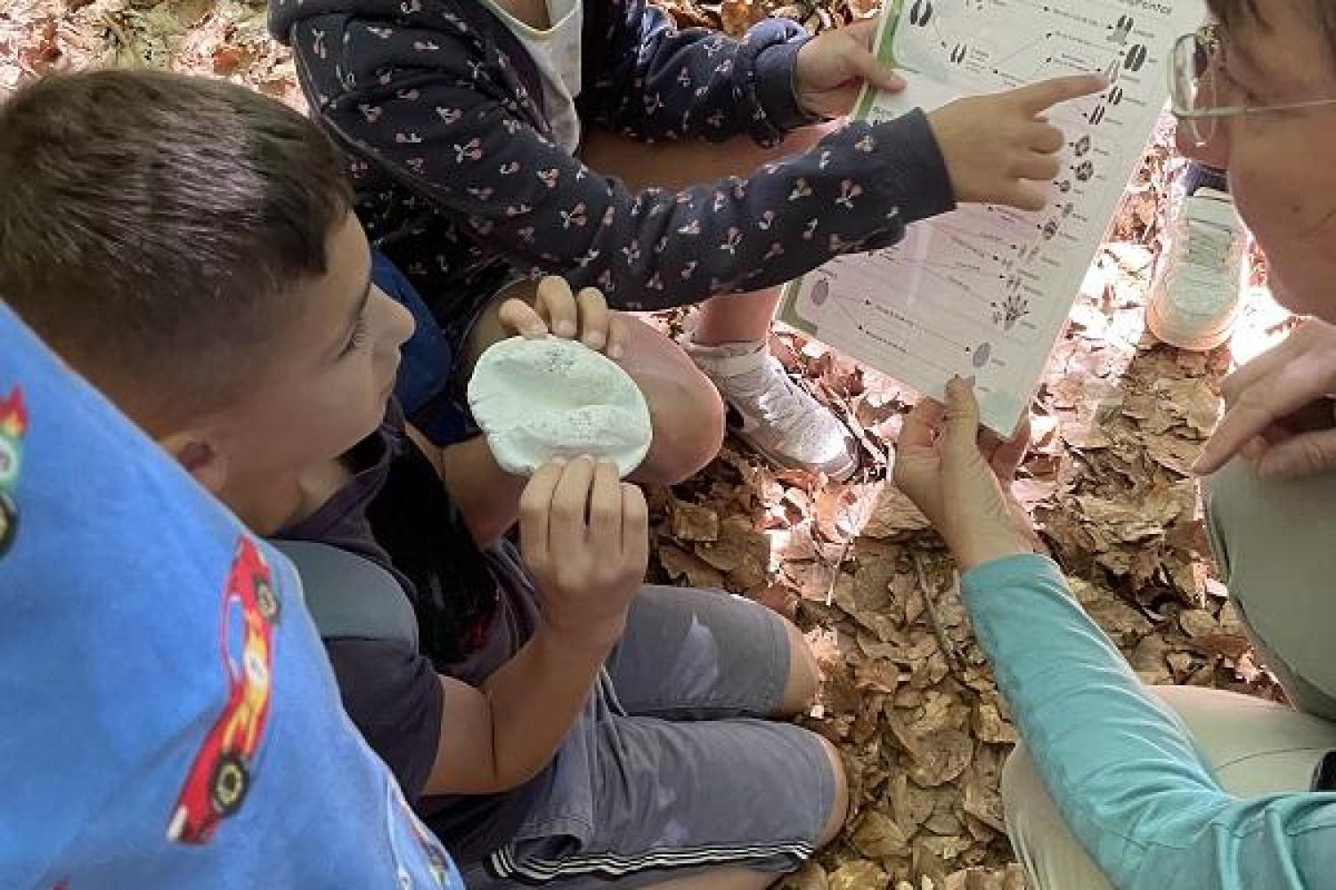Journée pédagogique et inclusive sur le massif de l’Aigoual © Eléonore Solier – Parc national des Cévennes 