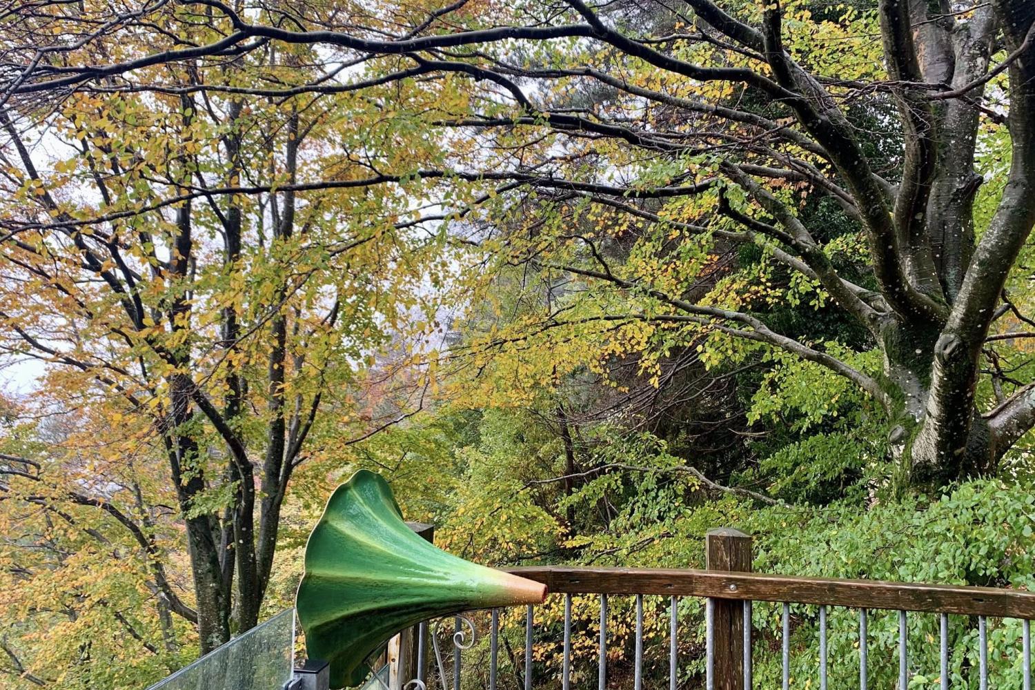 Cône d'écoute sur le belvédère © Aire de Côte