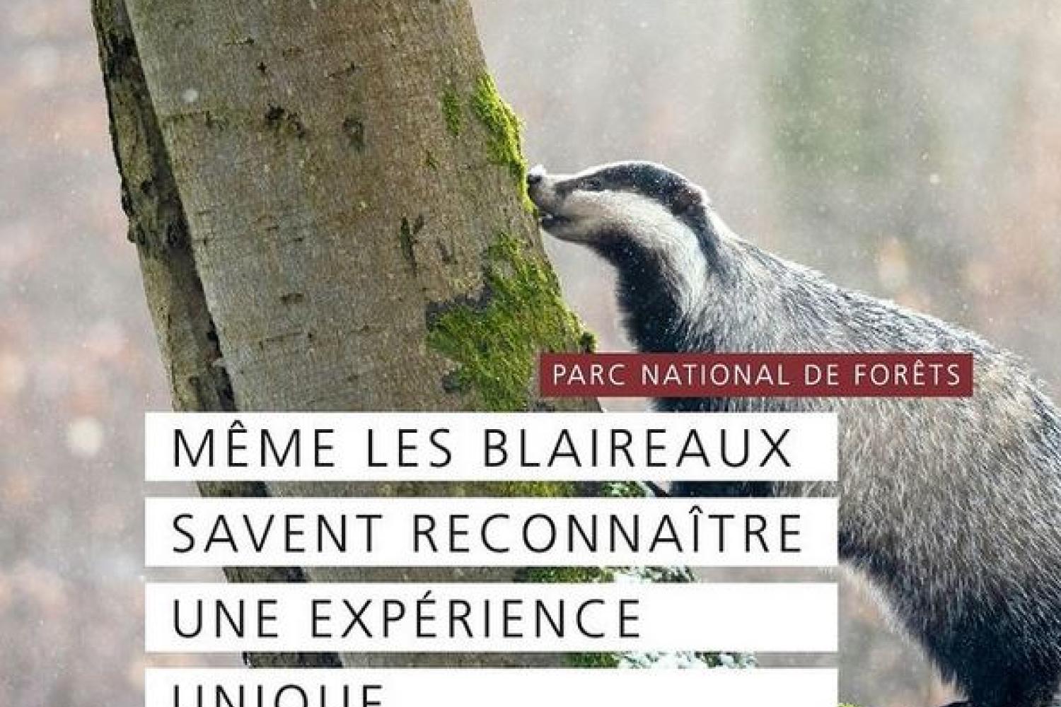 affiche_campagne_quand_lesprit_respire_-_parc_national_de_forets_1.jpg