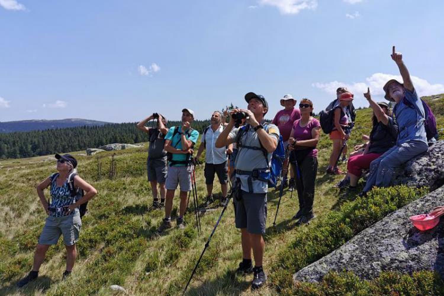 bd_pnc_animation_avec_un_garde-moniteur_a_finiels_sur_le_mont_lozere_c_adrien_majourel_-_parc_national_des_cevennes.jpg