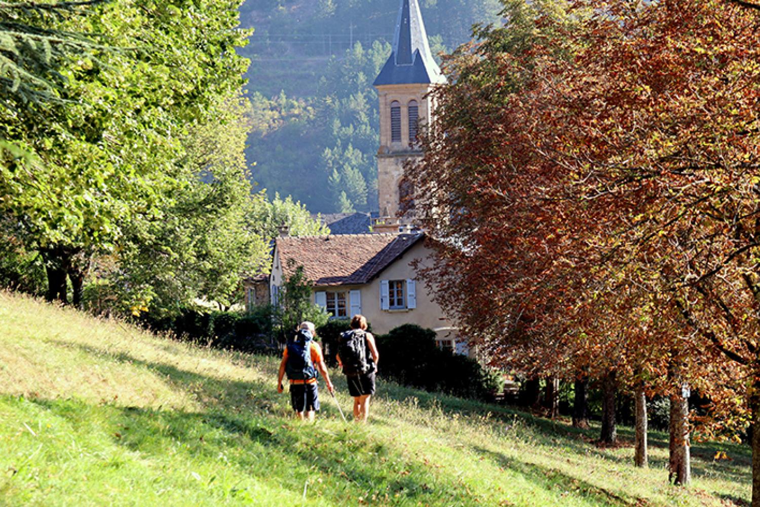 bd_pnc_balade_sur_le_chemin_de_stevenson_c_michel_helmbacher.jpg