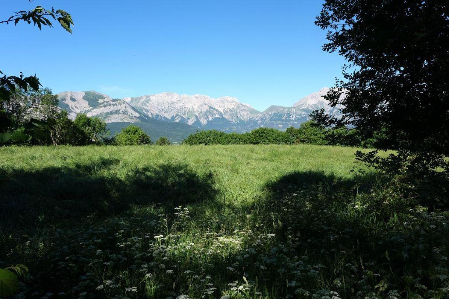 bd_pne_la_parcelle_gagnante_du_concours_dagroforesterie_a_villard-trottier_c_d._vincent_-_parc_national_des_ecrins.jpg