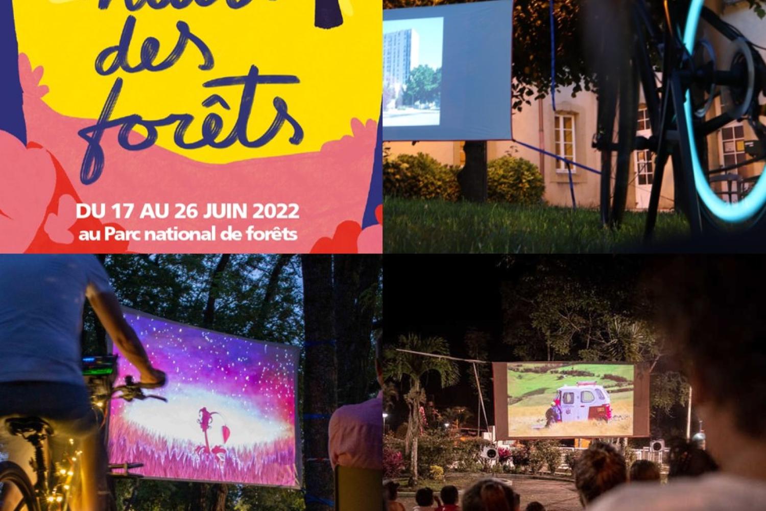 bd_pnf_projection_cinema_nuits_des_forets_c_dr_parc_national_de_forets.jpg