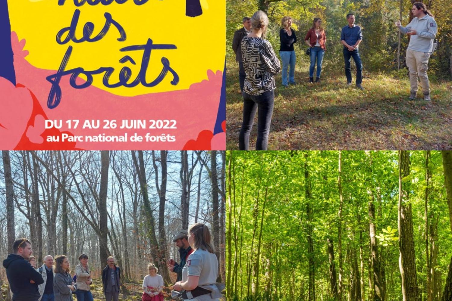 bd_pnf_sorties_nature_nuits_des_forets_c_dr_parc_national_de_forets.jpg