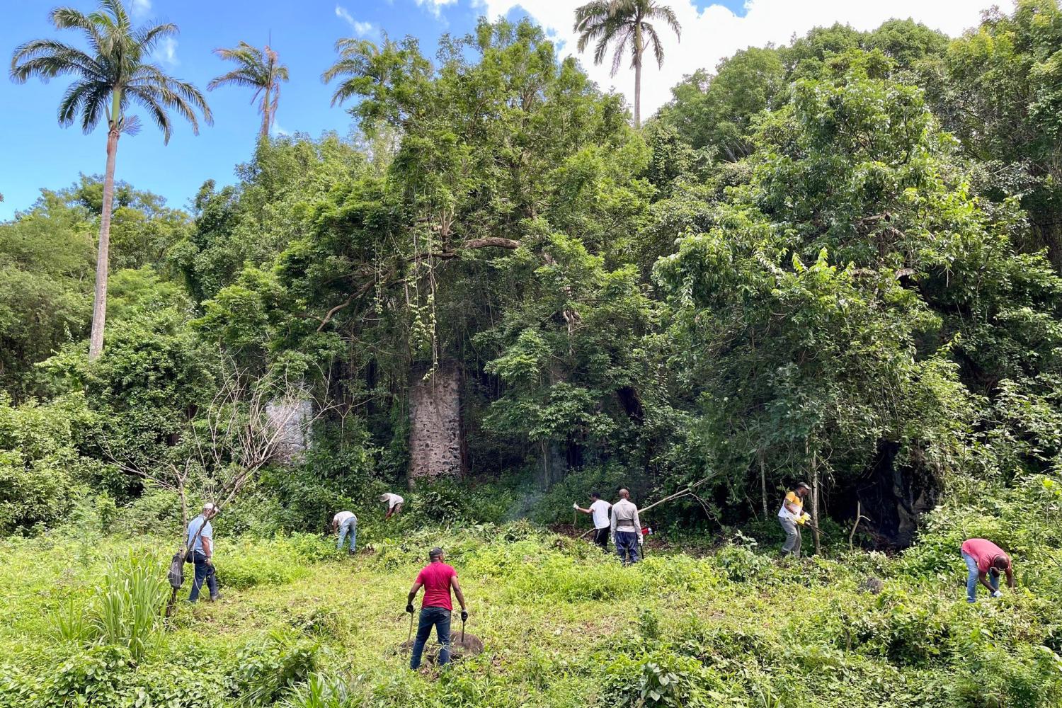 bd_png_operation_nettoyage_pointe-noire_c_dr_parc_national_de_la_guadeloupe.jpg