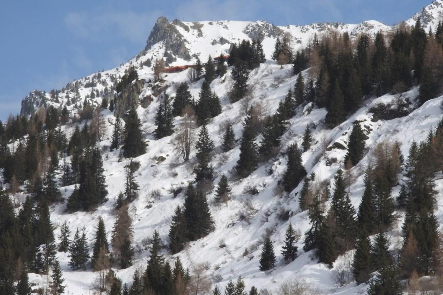 bd_pnv_zone_de_larpette_vue_du_bas_c_j._coulombier_-_parc_national_de_la_vanoise.jpg