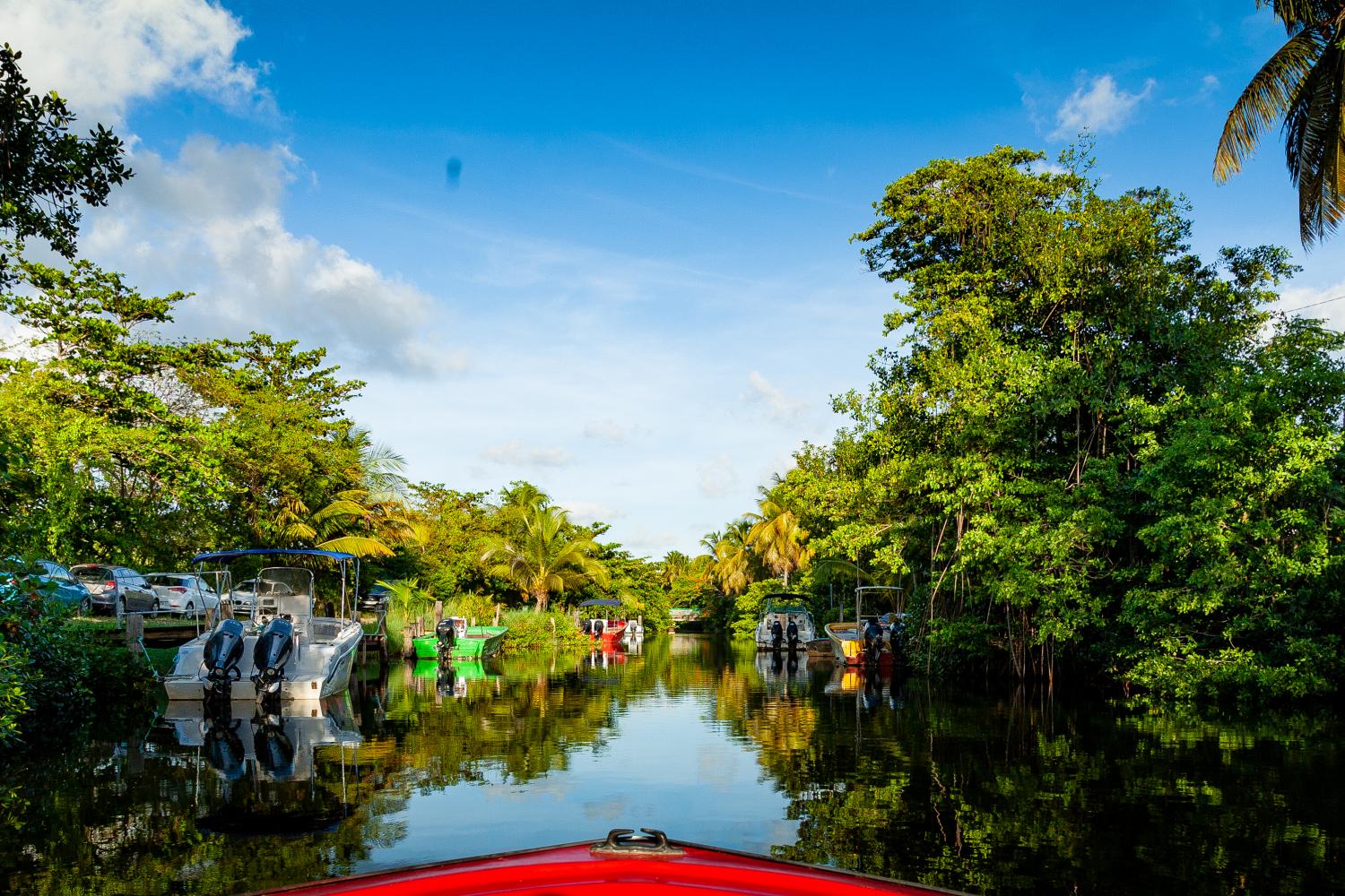 hd_png_canal_des_rotours_c_dr_parc_national_de_la_guadeloupe.jpg