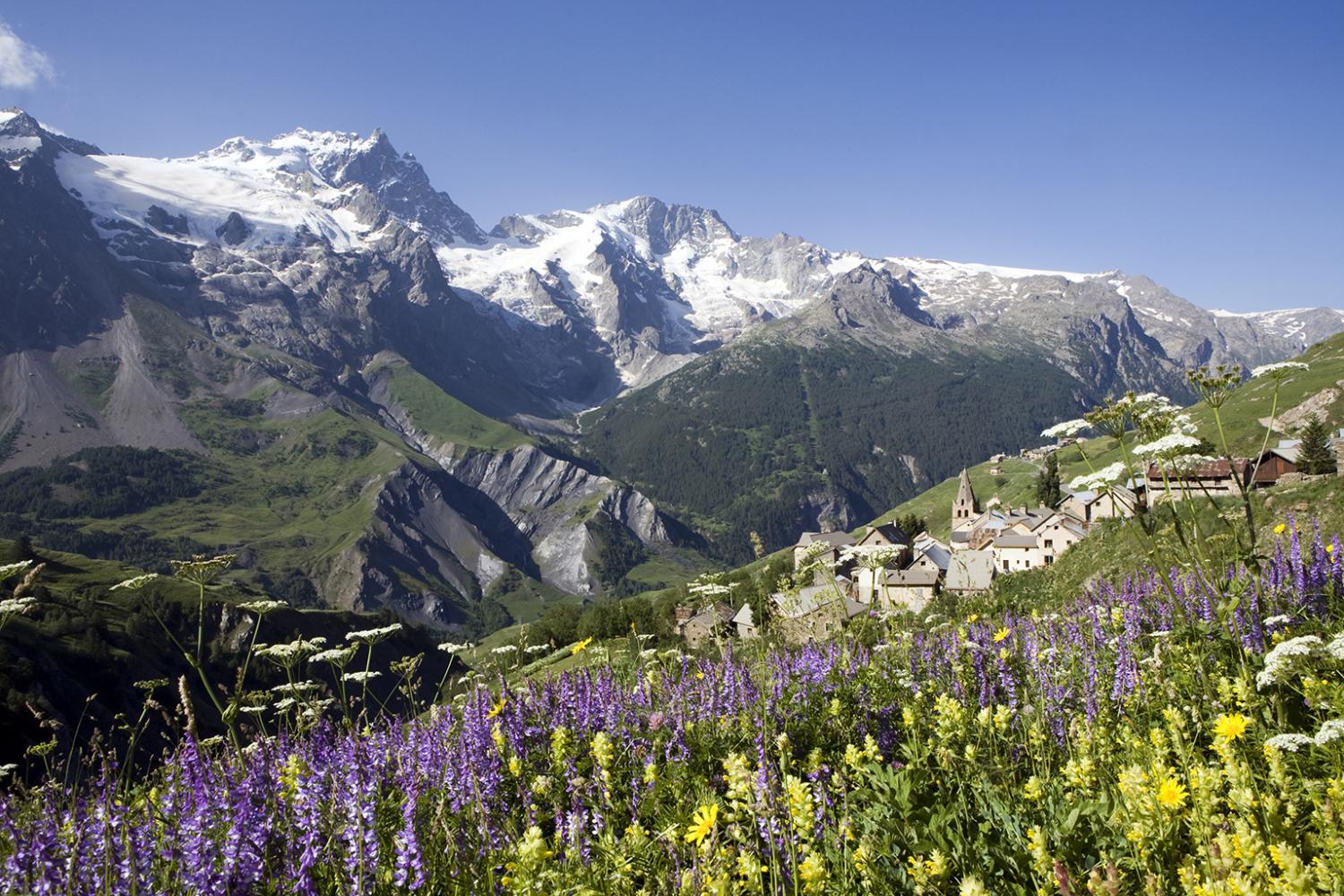 les_hieres_p._saulay_parc_national_des_ecrins_web.jpg