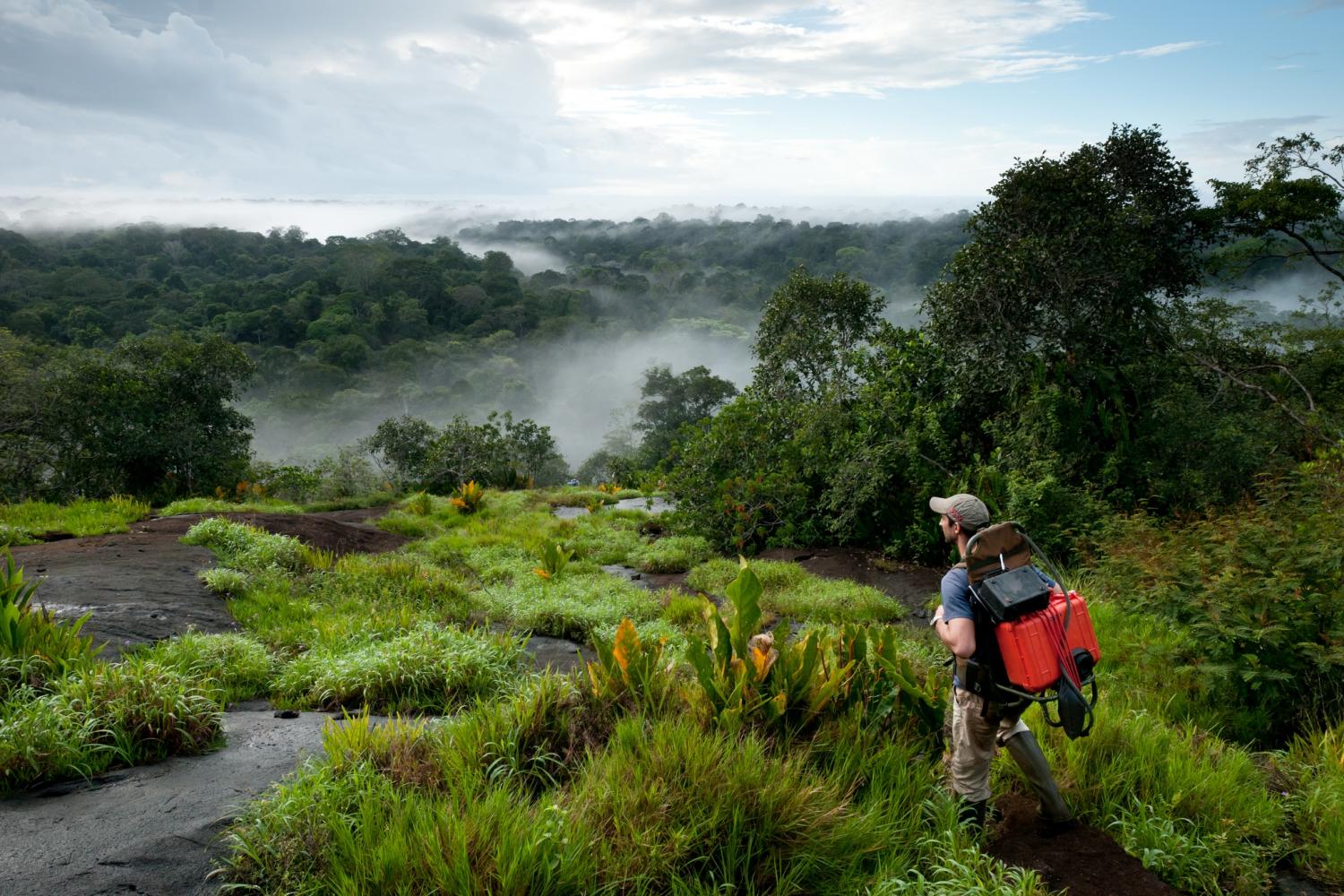 parcamazoniende_guyane_lever_du_jour_inselberg_memora_gfeuillet.jpg