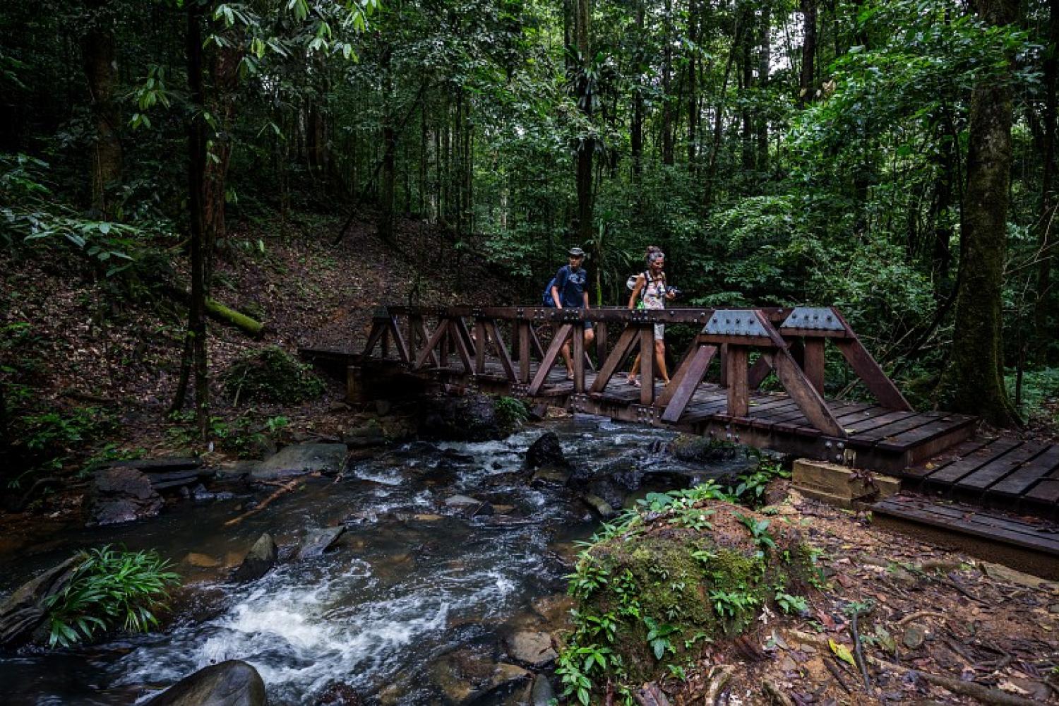 passerelle_des_chutes_de_gobaya_soula_c_jody_amiet.jpg