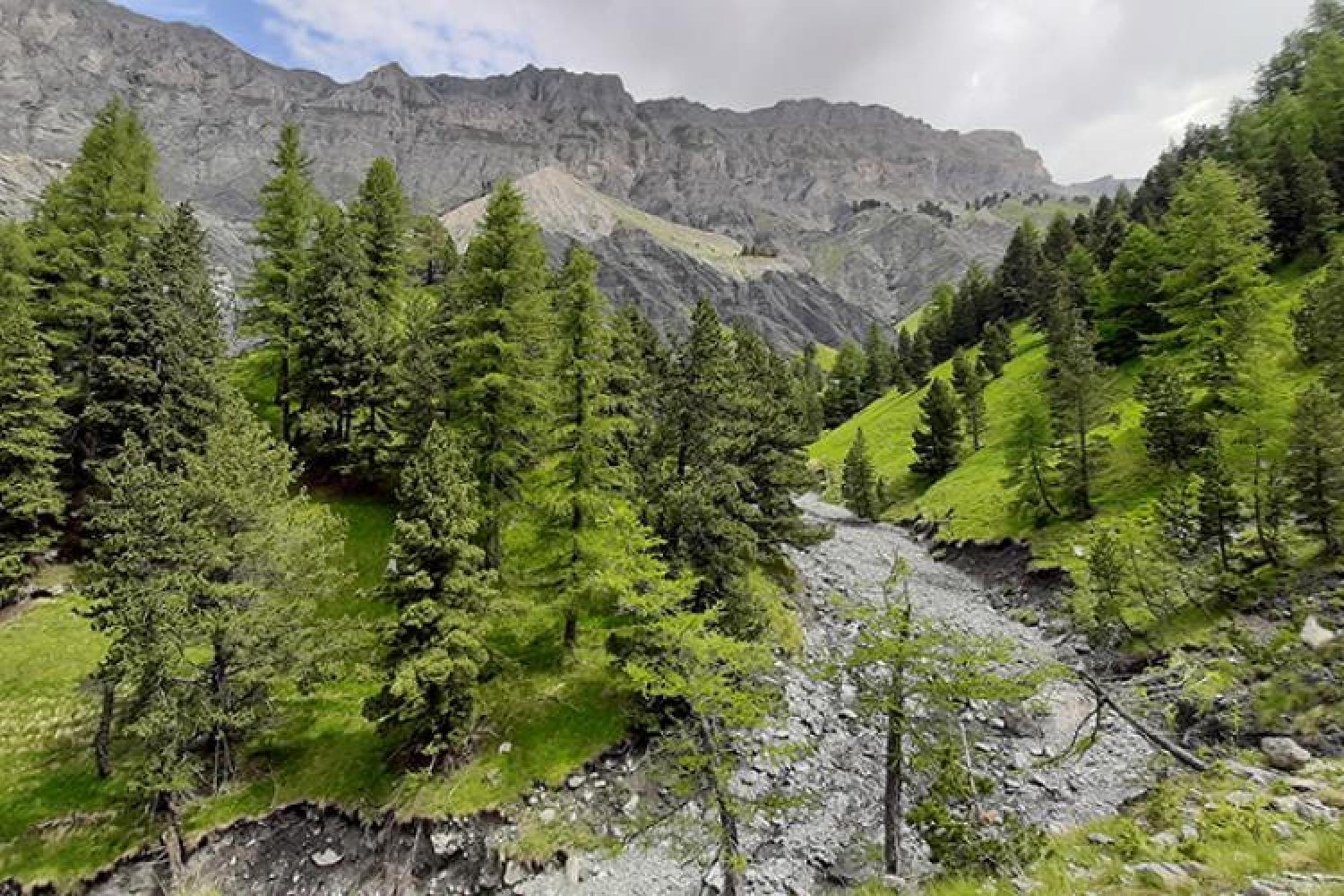 reserve_integrale_dentraunes-3_c_laurent_scheyer-parc_national_du_mercantour.jpg