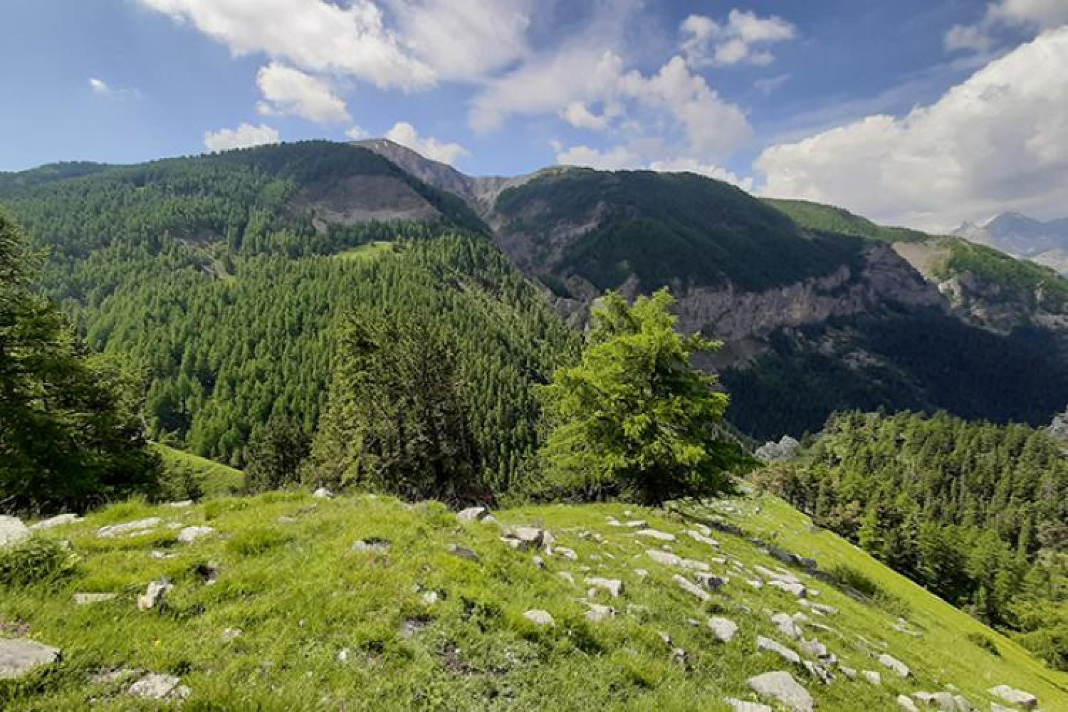 reserve_integrale_dentraunes-4_c_laurent_scheyer-parc_national_du_mercantour.jpg