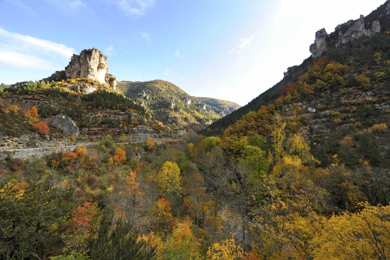 Parc national des Cévennes | Portail des parcs nationaux de France